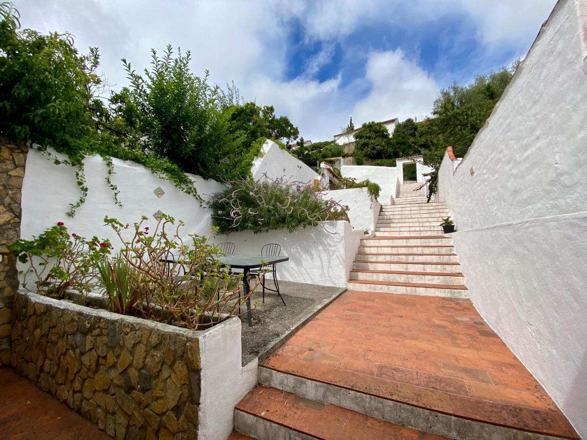 Patio Da Muralha Óbidos Dış mekan fotoğraf